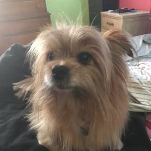 Meet your Posher, Jacob